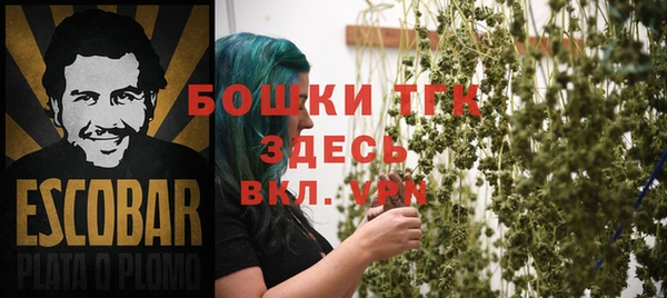 твердый Алексеевка