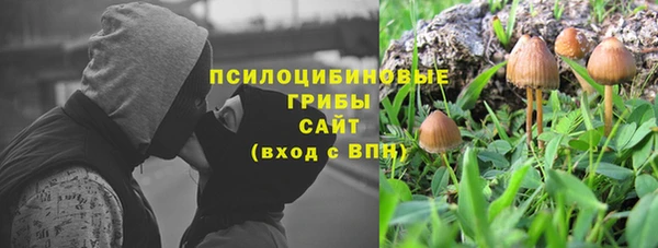 скорость Алзамай